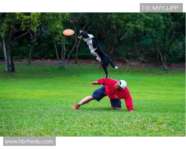 飞盘耐力排行榜:北京飞盘队位居第6名 飞盘耐力排行榜:北京飞盘队位居第6名